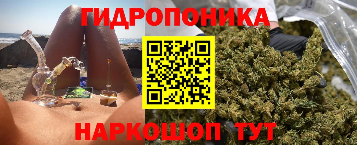 Бошки марихуана MAZAR Чебоксары